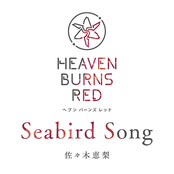 Seabird Song