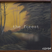 the forest - Single