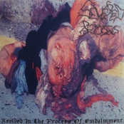 Revived in the Process of Embamment