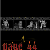 A Slice Of Fried Gold