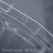 Tameless Wind