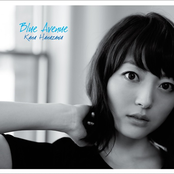 Blue Avenue Album Picture