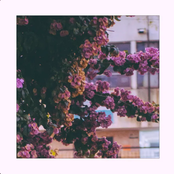 Siempre He Sido Igual