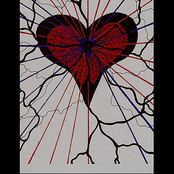 Black Lane Blue Lights