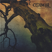 Eulogy by Cober