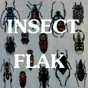 insect flak