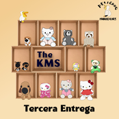 Tercera Entrega