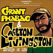 grant phabao & carlton livingston