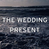 White Horses by The Wedding Present