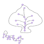 ☯pollenbabytracker23