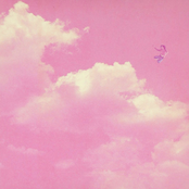 flight