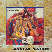 My Heart Will Go On by Andean Nation