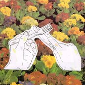 Stealing Flowers From the Neighbor's Lawn