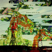 Bizarre World of Non