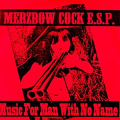 Music For A Man With No Name