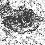 Vomit Messiah Demo II