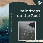 Raindrops on the Roof