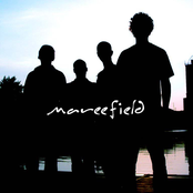 mareefield