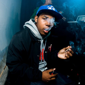 jasper dolphin