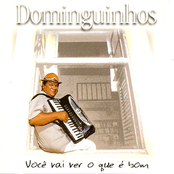 Não Prende Minhas Asas by Dominguinhos