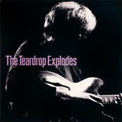 Suffocate by The Teardrop Explodes
