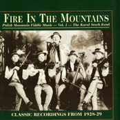 Fire In The Mountains: Polish Mountain Fiddle Music - Vol.1