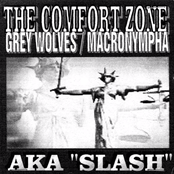 The Comfort Zone (aka Slash)