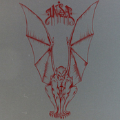 INSA (I Need Some Answers)