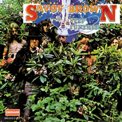 Made Up My Mind by Savoy Brown