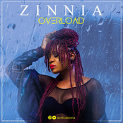 Zinnia: Overload