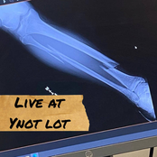 Live at Ynot Lot