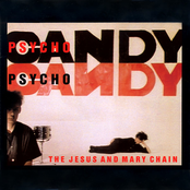 Never Understand by The Jesus And Mary Chain