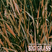 Keep For Cheap: Big Grass