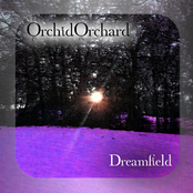 Dreamfield