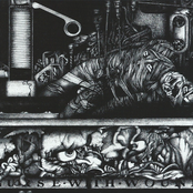 To the Quiet Men From a Tiny Girl