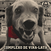 Complexo de Vira-Lata