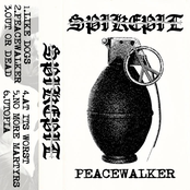 Peacewalker