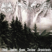 Wolf Spirits From Archaic