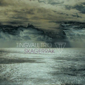 Nimis by Tingvall Trio