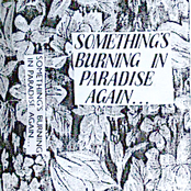 Something's Burning In Paradis