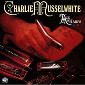 My Road Lies In Darkness by Charlie Musselwhite