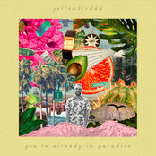 You're Already in Paradise