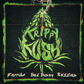 WWW.ELGENERO.COM - Krippy Kush