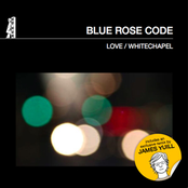 Love by Blue Rose Code