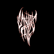 Singular (Shadowed Insanity Remix)