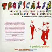 Tropicália: A Brazilian Revolution in Sound