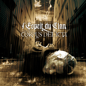 Chapitre III : Corpus delicti