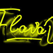 I Love It (Flava D Bootleg)