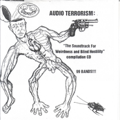 Audio Terrorism: "The Soundtrack For Weirdness And Blind Hostility" Compilation CD