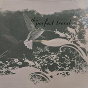 The Perfect Trend